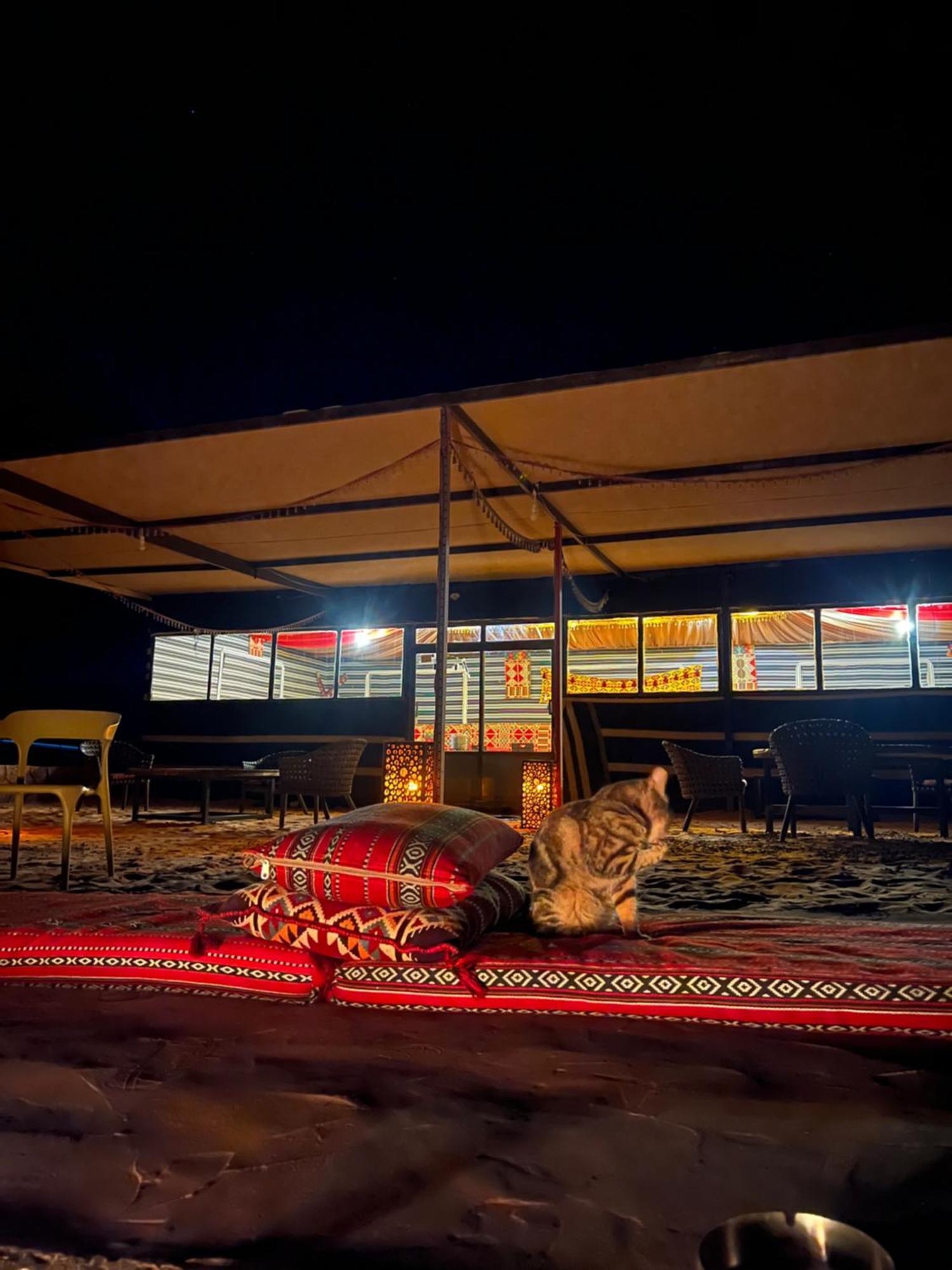 Bedouin Life Camp Hotel Wadi Rum Exterior photo